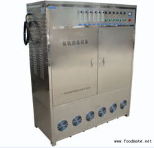 高效水处理新利器 氧气源臭氧发生器与杀菌消毒灯的应用解析